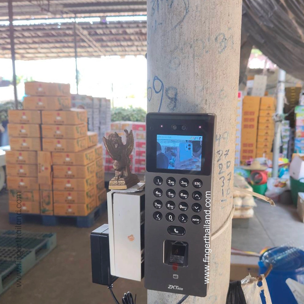 ZKTeco SenseFace 2A เครื่องลงเวลาทำงานออนไลน์ สแกนหน้าและนิ้วมือ